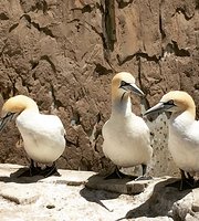 East London Aquarium