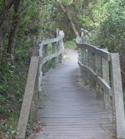 Nahoon Estuary Nature Reserve